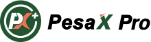 PesaX Pro Logo
